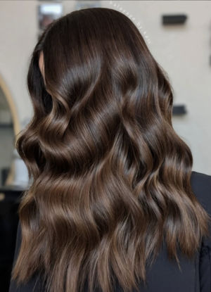 Widget 300 2ad40c51a29626e220fd screenshot 2025 02 21 at 2.38.50 pm